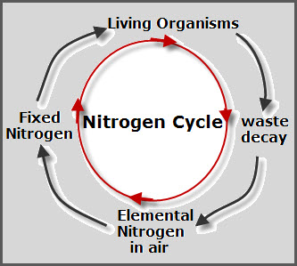 Diagram Of Nitrogen