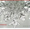 Snowflake Crystals