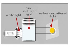 light-scattered-milk1