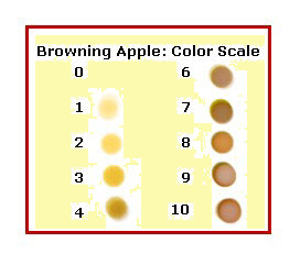 Browning in apples: Exploring the biochemical basis of an easily