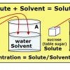 A Diagram Comparing the Preparation of Two Sugar Solutions With Different Concentrations. Each solution is a mixture of sugar (sucrose) and water. Sugar is the solute and water the solvent. Solution A has twice as much sugar added to the same amount of water as does solution B. Thus, Solution A is more concentrated than is Solution B. You can also say that of the two solutions, A and B, Solution B is more dilute.
