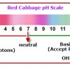 indicator pH scale red cab
