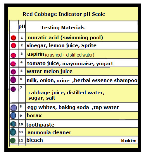 Red Cabbage Juice Indicator Chart