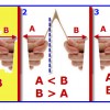 Wishbone Breaking: Balanced Forces vs. Unbalanced Forces Forces on a Wishbone