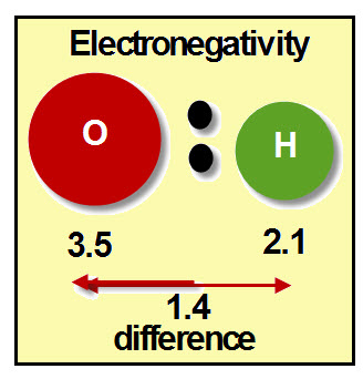 Polar Covalent Bond