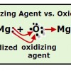 Oxygen, the Oxidizing Agent, Causes Magnesium to be Oxidized Oxidixing Agent vs. Oxidized