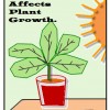 How the Independent Variable of Light affect the Dependent Variable of Plant Growth