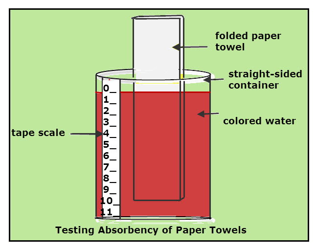 paper towels experiment