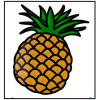 Pineapple contains an enzyme that digests protein.