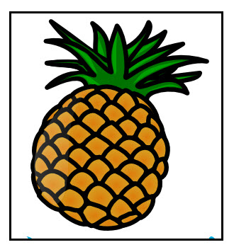 Pineapple contains an enzyme that digests protein.