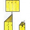 Steps for making a paper airplane, which is used to model the glidiing of a flying squirrel.