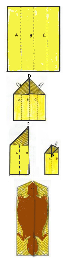 Steps for making a paper airplane, which is used to model the glidiing of a flying squirrel.