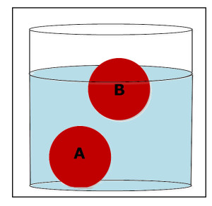 Water is used to compare the relative density of two red balls.