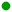 bullet-green-round