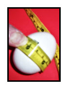 The egg's circumference measurement in centimeters is measured with a flexible metric measuring tape.