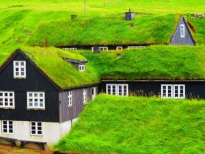 green sod roof