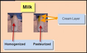 solution-homo-milk1