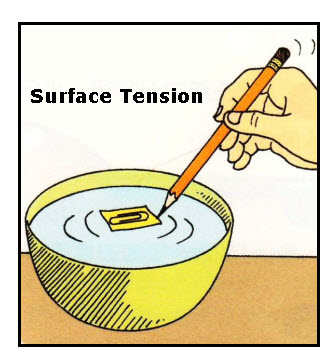 surface-tension23