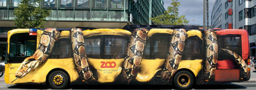 zoo-bus-whole
