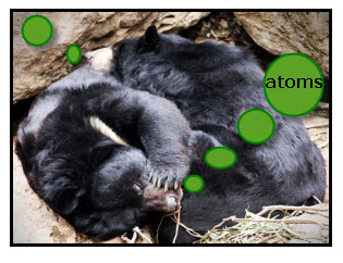 bears-sleeping