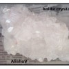 Halie Crystal