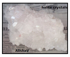 Halie Crystal