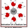 Solvation of Sodium Ion