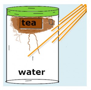 Solar tea is no different from any other tea except solar energy is used to heat the water.