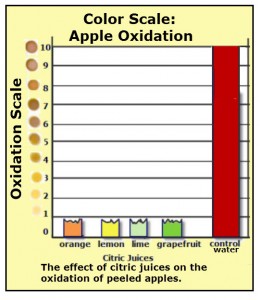 How citric juice affects the amount of oxidation of exposed apple flesh.