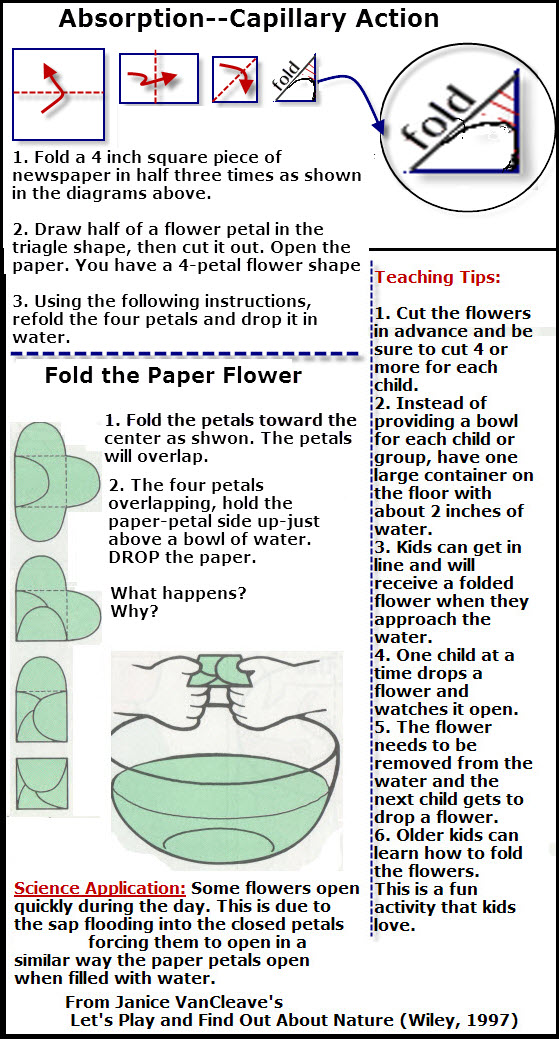 Instructions to fold a four-petal flower cut from newspaper demonstrates absorption and capillary action. are folded