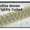 Epigenones Activate and Deactivate Genes