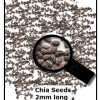 Chia Seeds