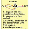 Aerobic Oxidation