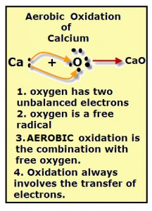 Aerobic Oxidation - VanCleave's Science Fun