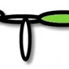Polymer Model