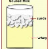 Soured Milk
