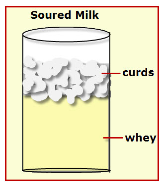 isolation of casein from milk project