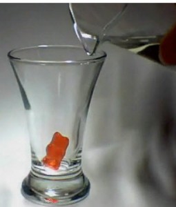 The gummi bear will be surrounded by water. Terms of possible results: dissolve, absorb, expand, shrink