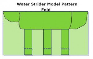 The pattern drawn on an index card is a crude representation of an insect that walks on water, a water strider.