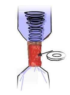 Bottles secured with a washer between their mouths reduce the hole in the mouth. Swirling the bottle results in the formation of a funnel of air through the center. Water swirls around the sides and air enters through the hole. 